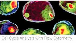 Cell Cycle Analysis with Flow Cytometry